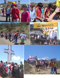 70 mil jóvenes peregrinaron al Santuario de Santa Teresa de los Andes