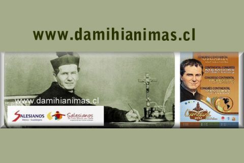 Nuevo Sitio Web: www.damihianimas.cl