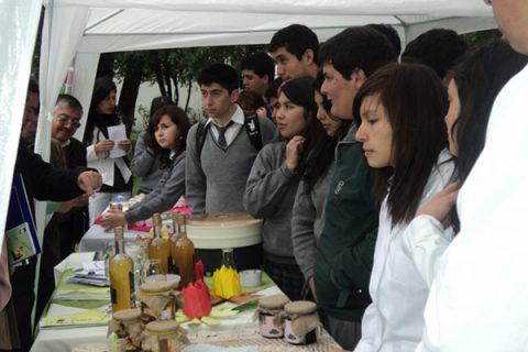 Linares – Primer lugar en ambas categorías del Workshop Agroalimentario