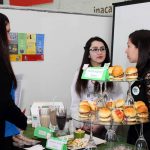 Alumnos del Instituto Don  Bosco de Punta Arenas representarán a su región en GO INNOVA 2016