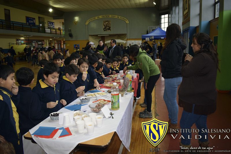 Día nacional de los Pueblos originarios en Valdivia