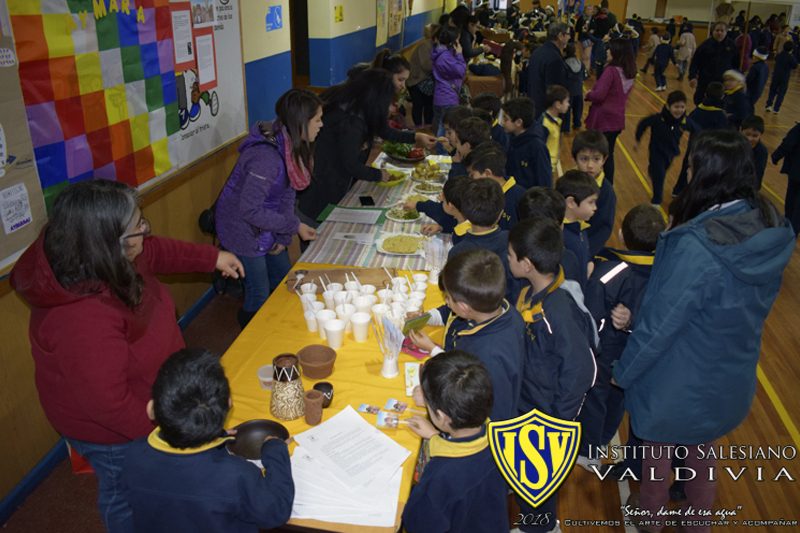 Día nacional de los Pueblos originarios en Valdivia