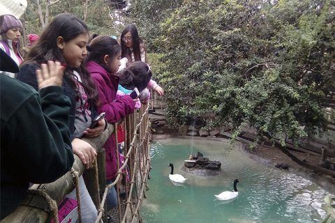 Niños de Fundación Don Bosco visitan Buin Zoo