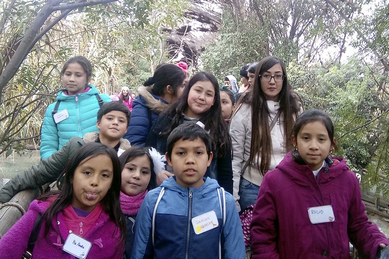 Niños de Fundación Don Bosco visitan Buin Zoo