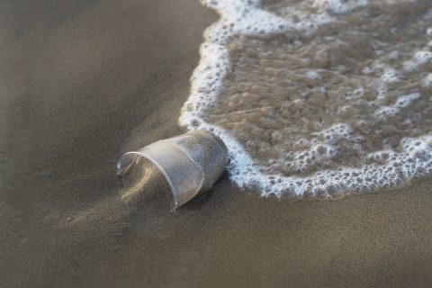 Más Plástico que peces en el mar