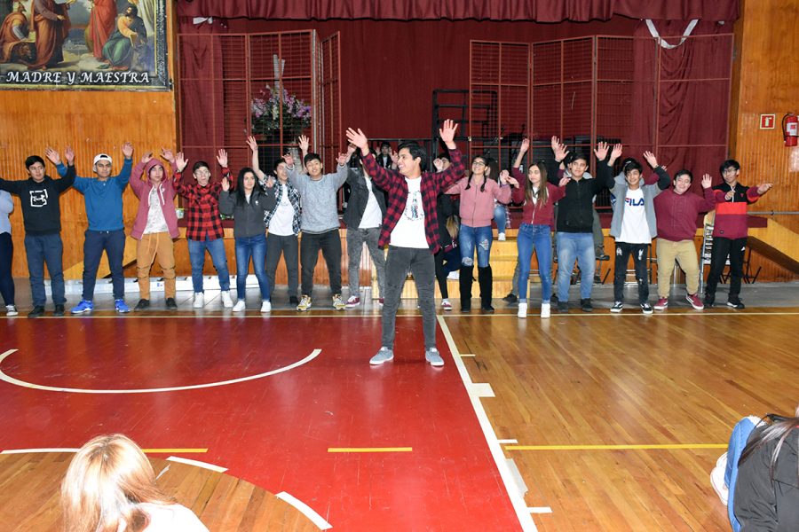 Campo Bosco en Puerto Natales