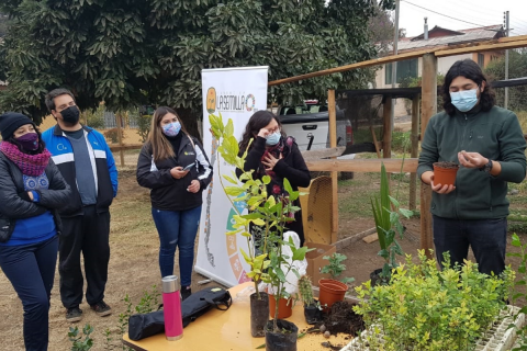 Taller de germinación de árboles nativos en Escuela Agrícola de Catemu