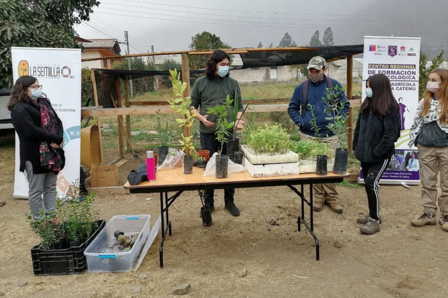 Taller de germinación de árboles nativos en Escuela Agrícola de Catemu