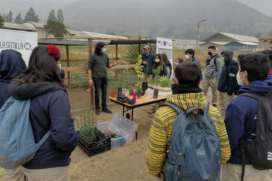 Taller de germinación de árboles nativos en Escuela Agrícola de Catemu