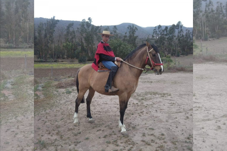 Fiestas Patrias en Salesianos La Serena se celebran con una Oración por Chile