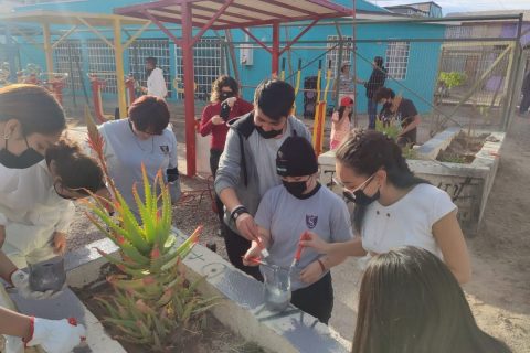 Estudiantes de Salesianos Calama cooperan con junta de vecinos