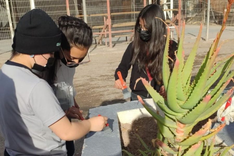 Estudiantes de Salesianos Calama cooperan con junta de vecinos