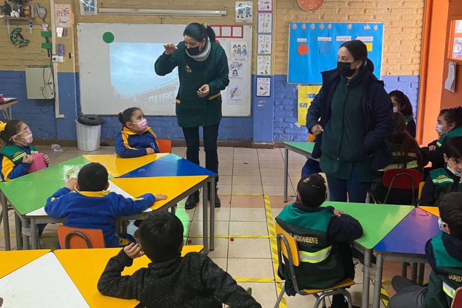 Colegio Domingo Savio inaugura primeros huertos escolares