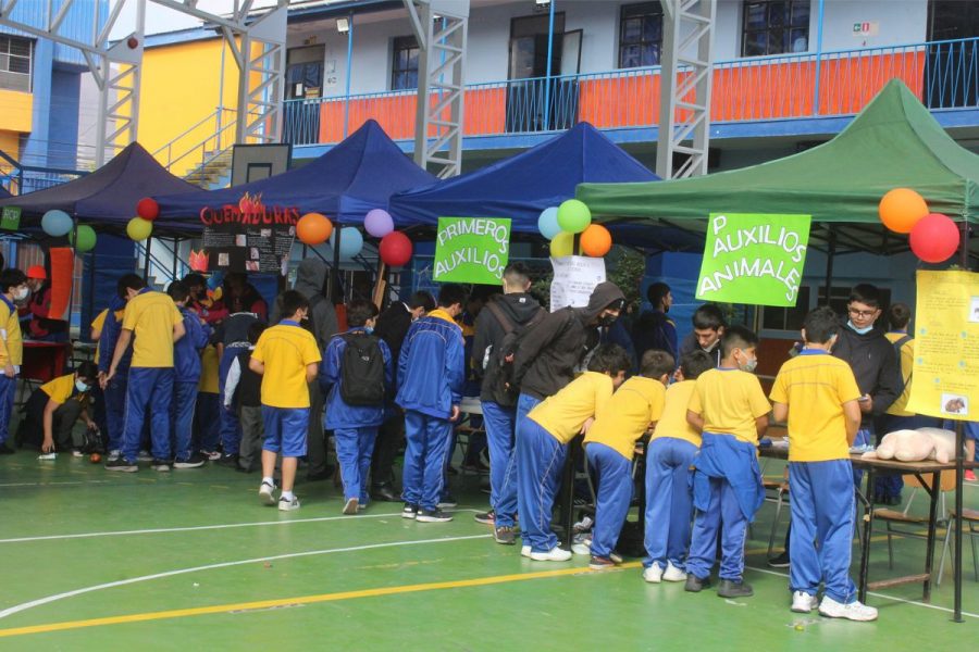 Don Bosco Iquique realiza primera versión de la Feria Saludable Salesiana