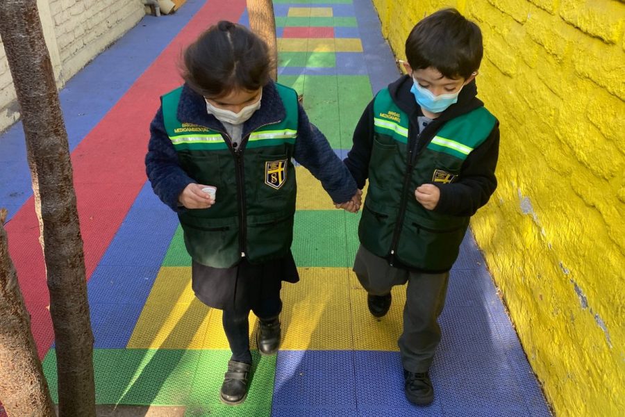 Colegio Domingo Savio inaugura primeros huertos escolares