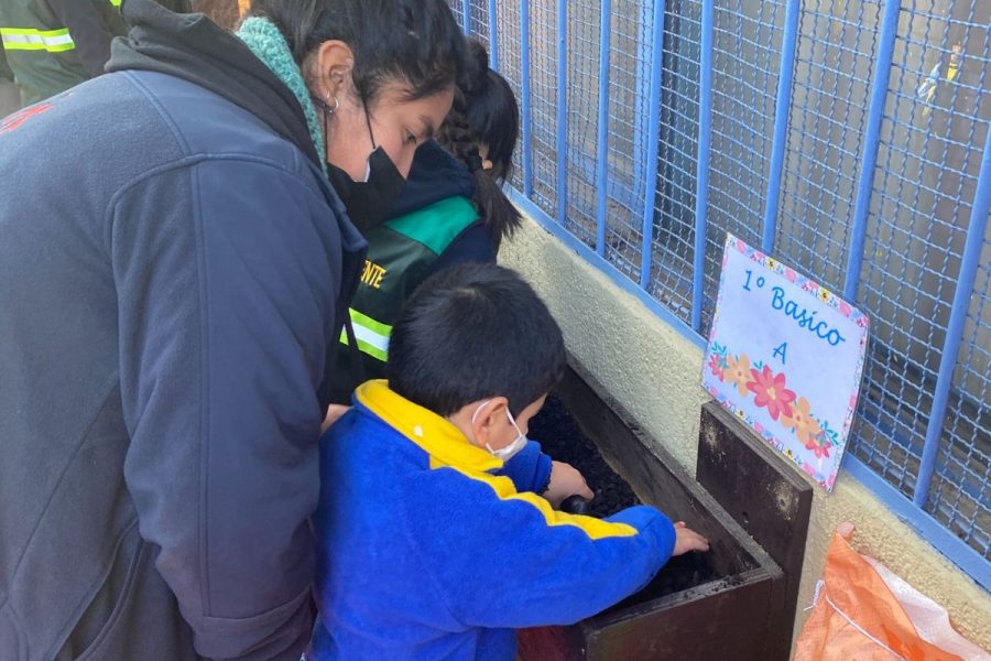 Colegio Domingo Savio inaugura primeros huertos escolares