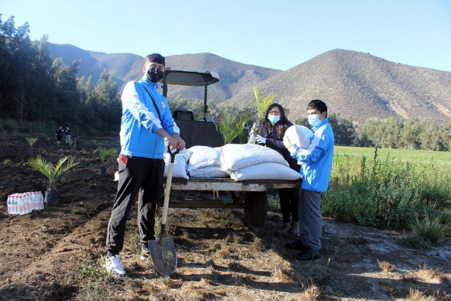 Salesianos Catemu fortalece su misión agroecológica