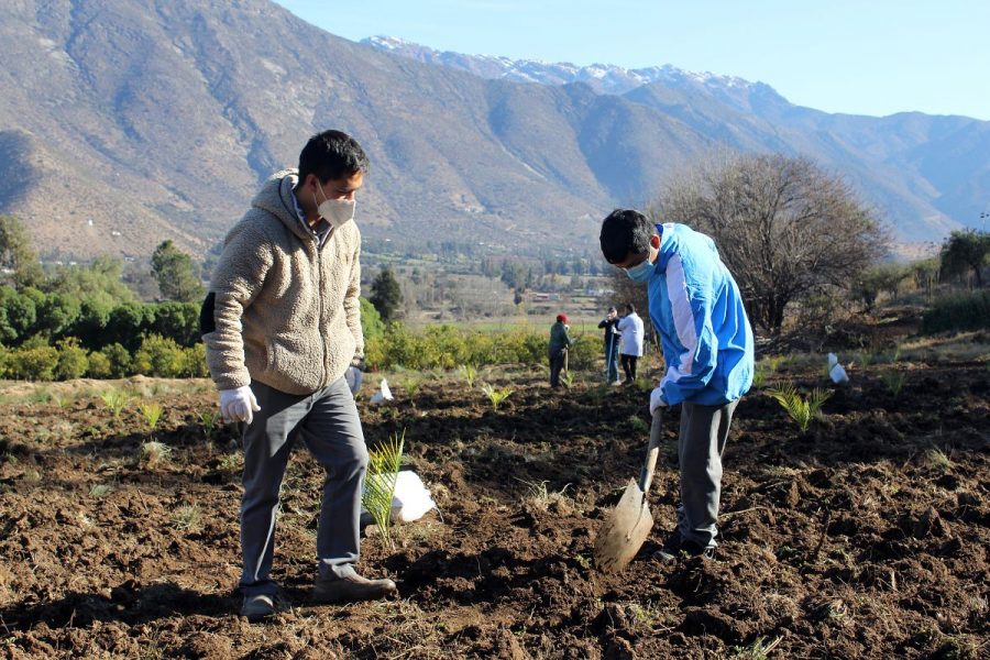 Salesianos Catemu fortalece su misión agroecológica