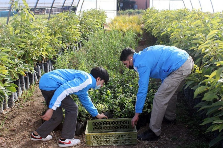 Salesianos Catemu fortalece su misión agroecológica