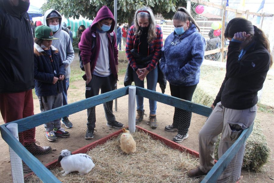 Salesianos Catemu desarrolló Muestra Agrícola 2022