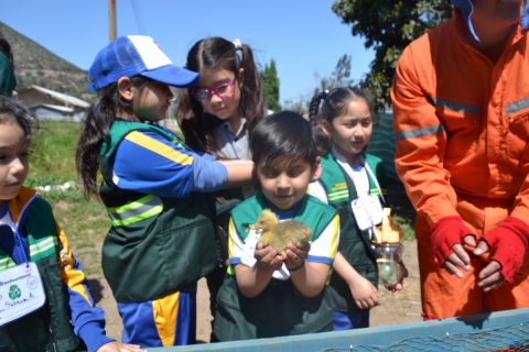 Guardianes del medioambiente visitan Escuela Agrícola de Catemu