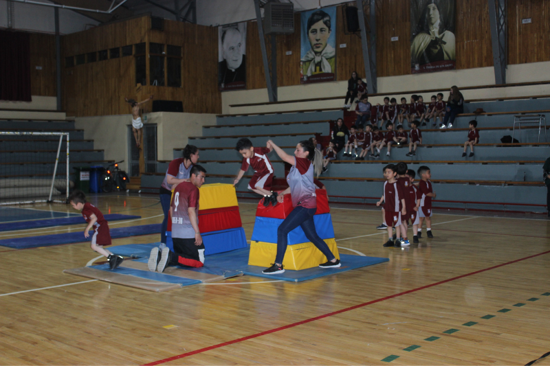 Muestra educación física Instituto don Bosco