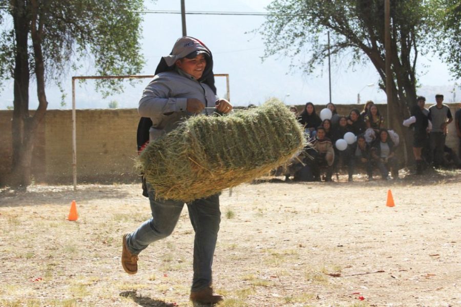 Salesianos Catemu realiza Fiesta de la Vendimia