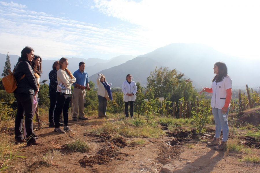 Salesianos Alameda realiza visita a Escuela Agrícola de Catemu