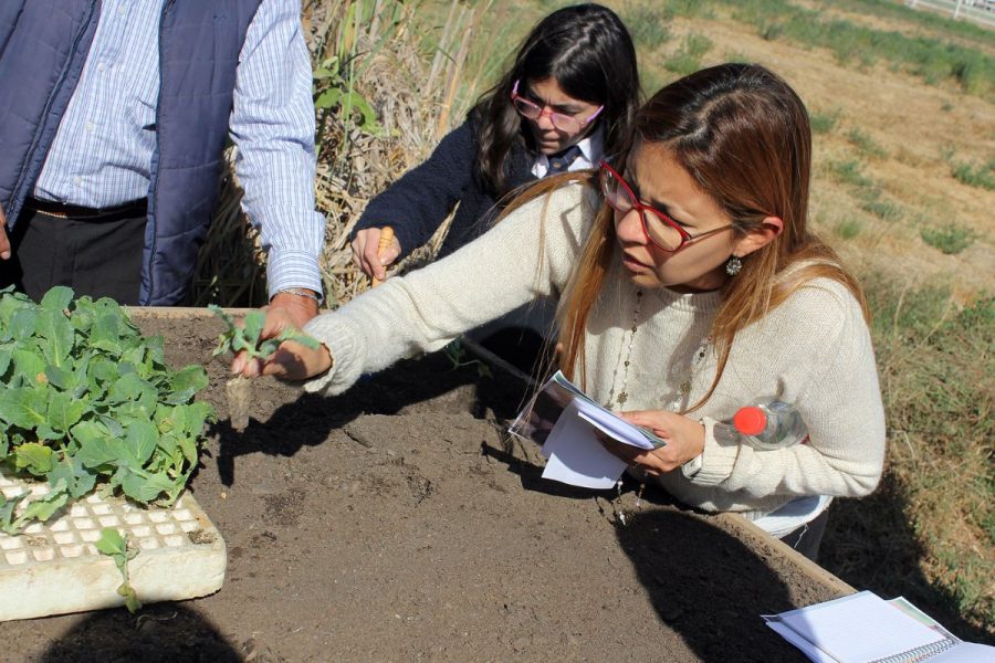 Salesianos Alameda realiza visita a Escuela Agrícola de Catemu