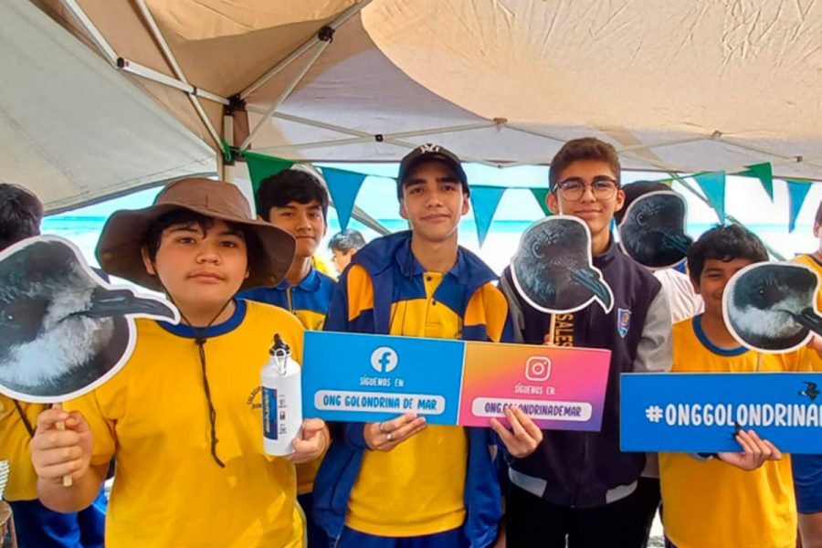 Salesianos Iquique celebró el Día del Medioambiente