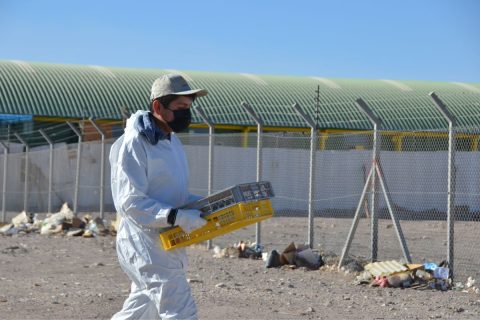 Salesianos Calama: Brigada Ambiental y apoderados realizaron gran operativo de limpieza