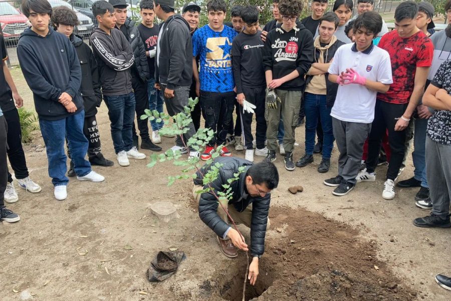 Salesianos Alameda: experiencia Amorevolezza con enfoque medioambiental