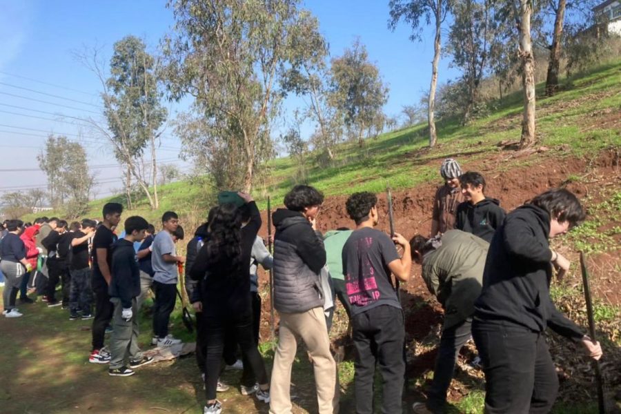 Salesianos Alameda: experiencia Amorevolezza con enfoque medioambiental