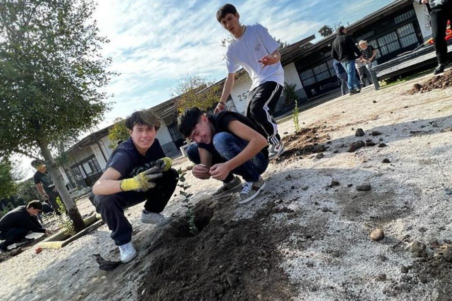 Salesianos Alameda: experiencia Amorevolezza con enfoque medioambiental