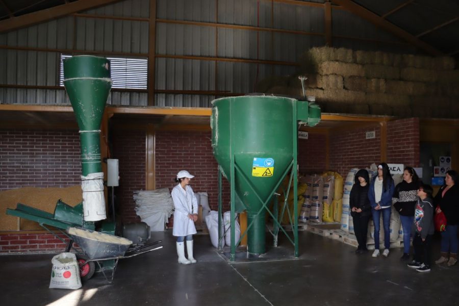 Muestra de Procesos Alimentarios en los Laboratorios Productivos de Salesianos Linares