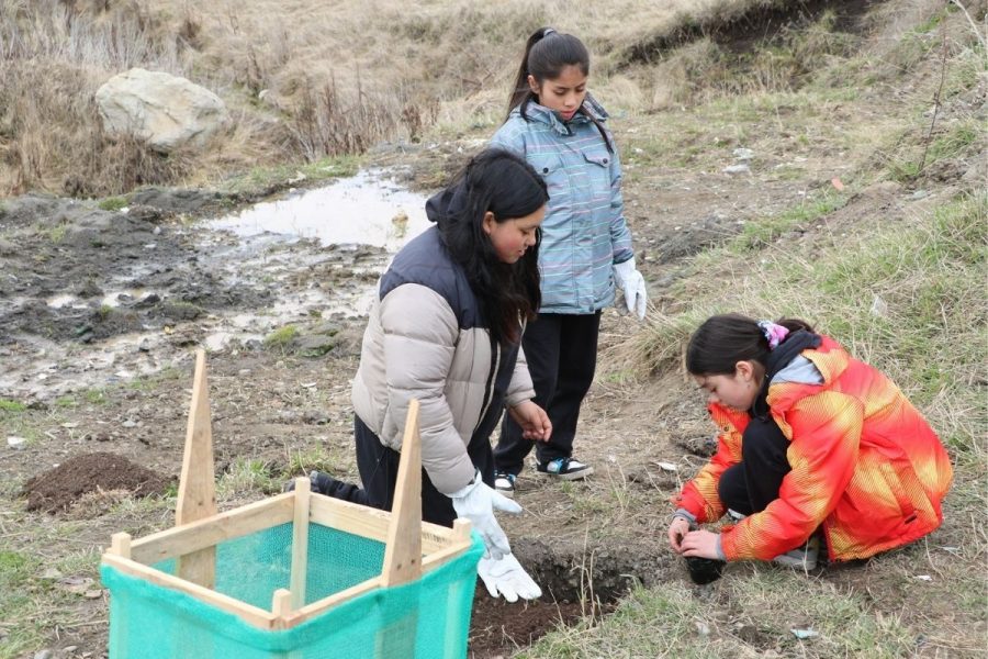 Liceo Monseñor Fagnano participa en actividad medioambiental junto a Municipalidad de Puerto Natales