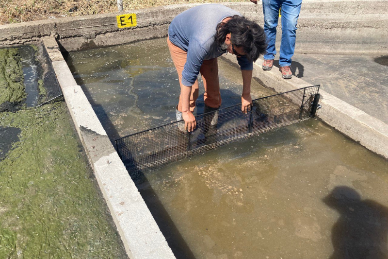 Educación ambiental: construcción biodigestor en Escuela Agrícola de Catemu