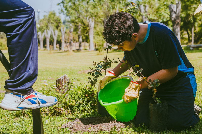 Nuevo Parque Peñihue: un lugar que nos conecte con Dios y su creación