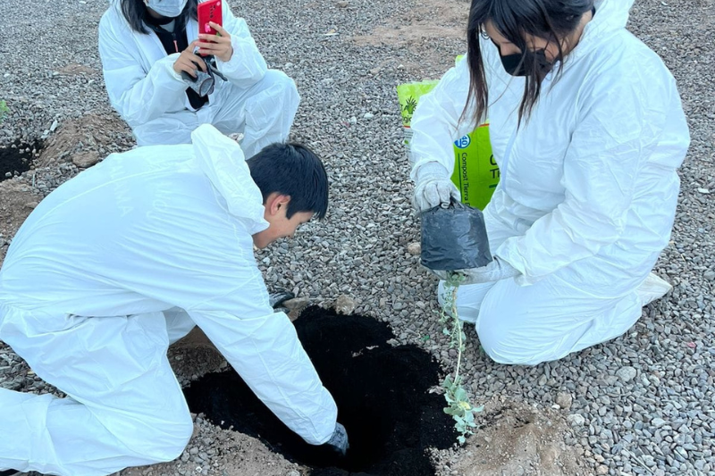 Colegio Don Bosco Calama obtiene Certificación Ambiental “Sello Verde”