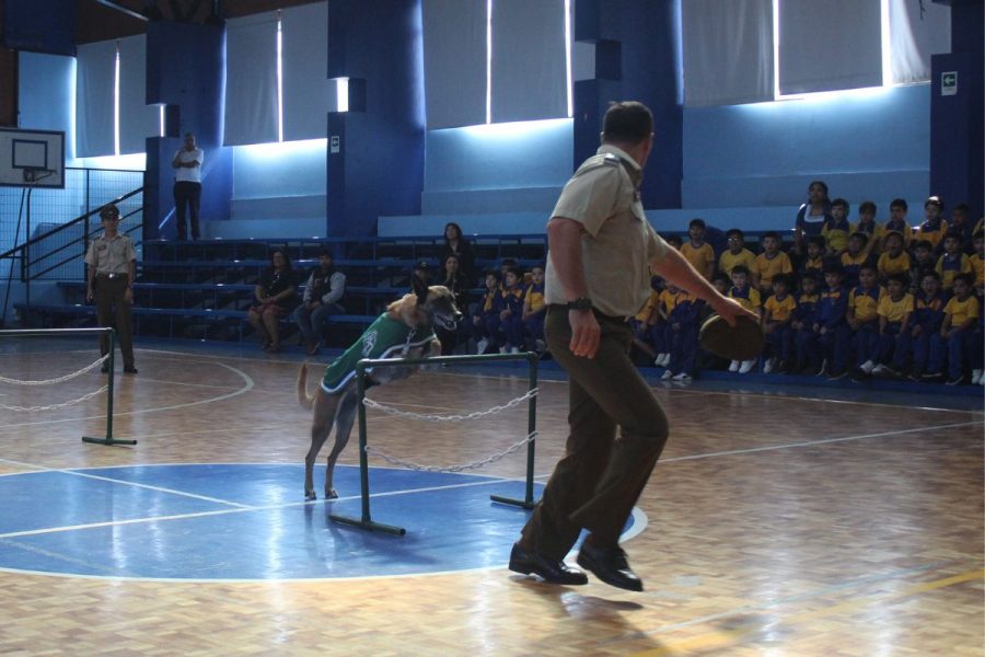 Colegio Don Bosco Iquique recibe visita de escuadrón canino de Carabineros